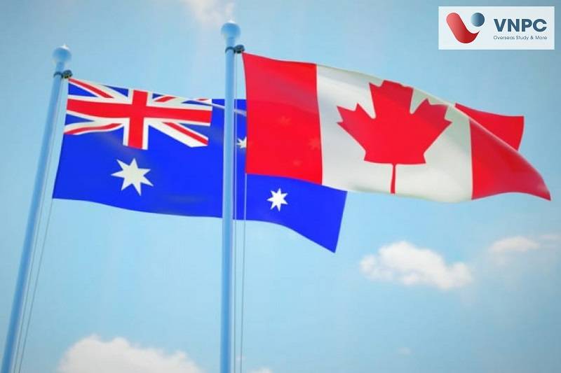 King888 shop hiện đang mở hay Canada: So sánh điều kiện, chi phí và chất lượng